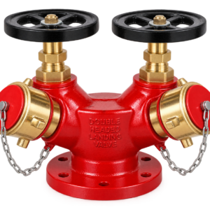 Double Headed Landing Valve